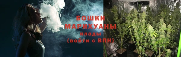 мет Елабуга