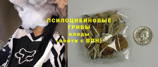 2c-b Елизово