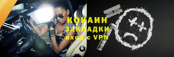 прущая мука Ельня