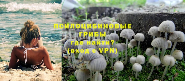мет Елабуга