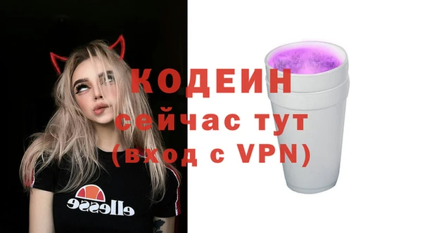 мет Елабуга