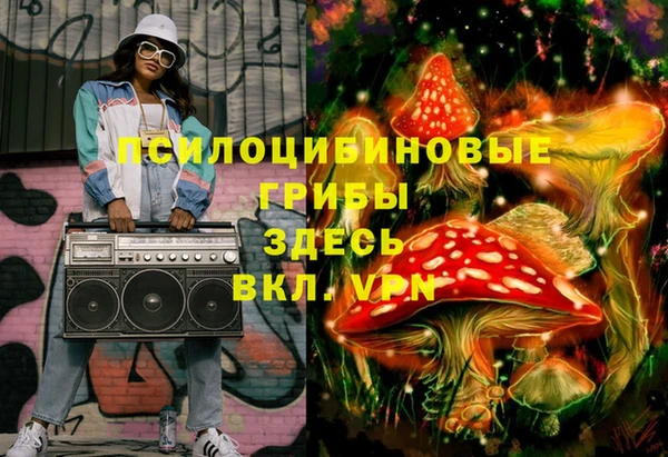 прущая мука Ельня