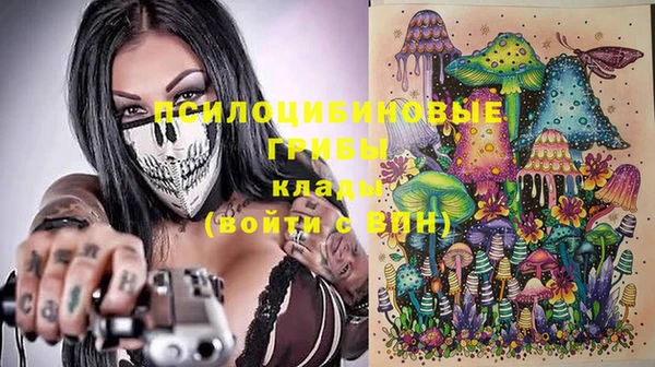 прущая мука Ельня
