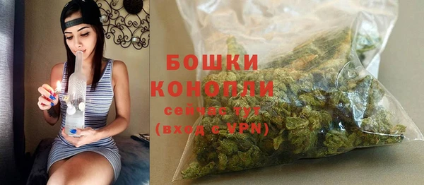 прущая мука Ельня
